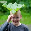 PC1_Bild083.jpg
